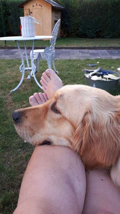 Dogorama Photo Challenge - Liebesbeweis-Beitrag-Bild