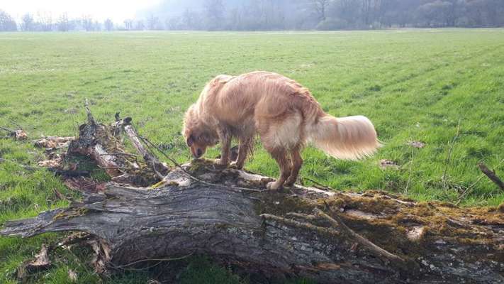 27. Handy Fotochallenge-Beitrag-Bild