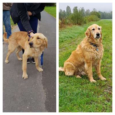 28. Handy-Fotochallenge - Damals und heute-Beitrag-Bild