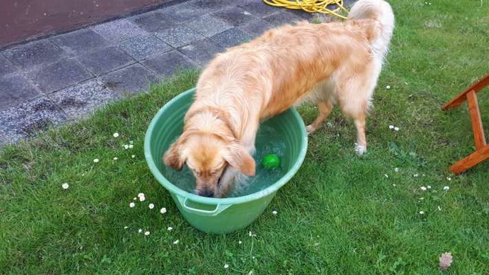 Dogorama Photo Challenge - Wasserspiele-Beitrag-Bild