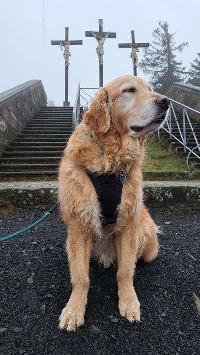 Dogorama Foto Challenge - Wanderziel-Beitrag-Bild