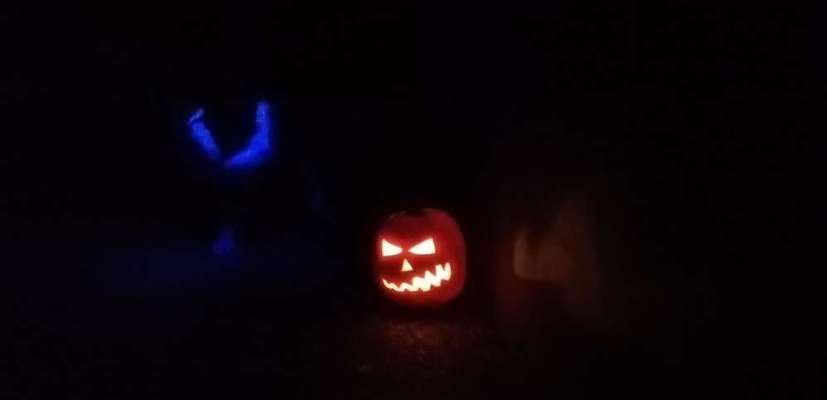 Foto Challenge Nr.135-Beitrag-Bild