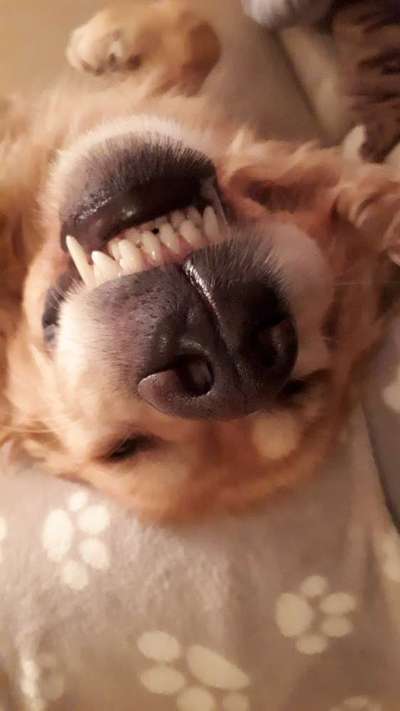 42. Handy Fotochallenge - Den richtigen Riecher haben-Beitrag-Bild