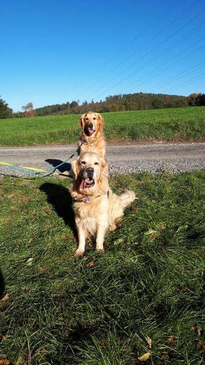 Fotochallenge 130-Beitrag-Bild