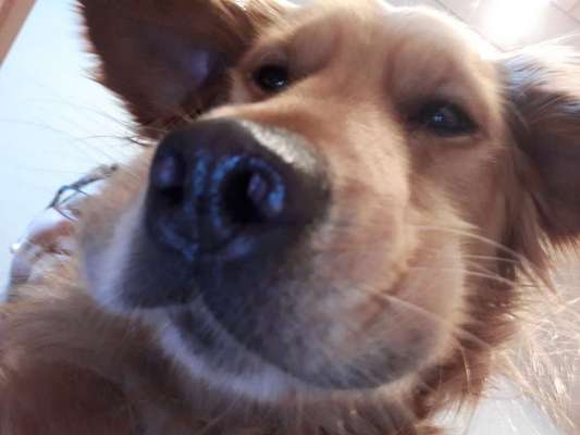 23. Handy Foto-Challenge-Beitrag-Bild