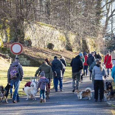 Hundetreffen-Social Walk 20.09.26-Bild