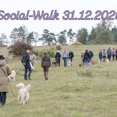 Hundetreffen-Social Walk Silvester-Bild