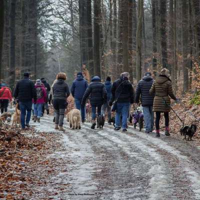 Hundetreffen-Social Walk am Lauterberg-Bild