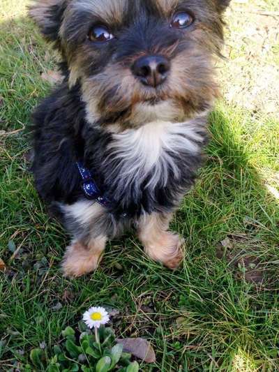 Euer absolutes lieblings Bild !-Beitrag-Bild