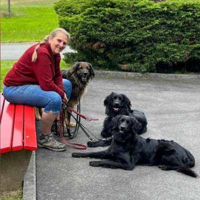 Hundetreffen-Trailen im Städtedreieck W-RS-SG