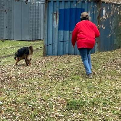 Hundetreffen-Fun Trailen in Rehau-Bild