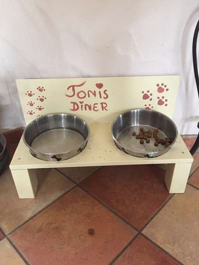 Hundebar - Futterbar-Beitrag-Bild