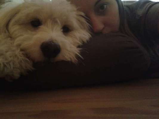 Unsere Fellnasen im Regenbogenland-Beitrag-Bild