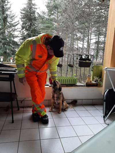 Wie seid ihr zu eurem Welpen gekommen?-Beitrag-Bild