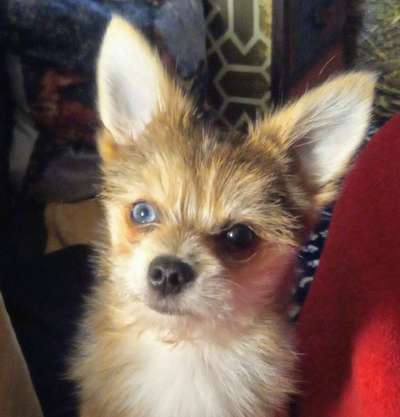 Fotochallange Nr. 57     PORTRÄT.   Beendet!!!!!!!!-Beitrag-Bild