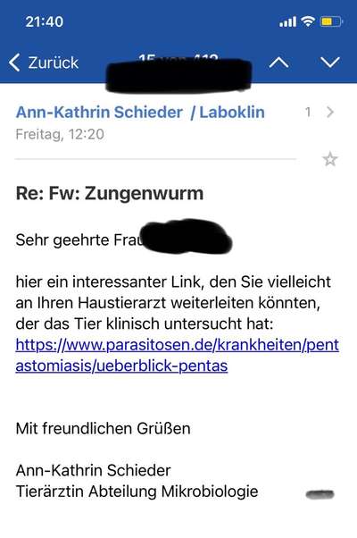 Zungenwurm-Beitrag-Bild