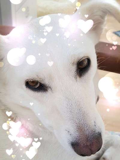 Fotochallange Nr. 57     PORTRÄT.   Beendet!!!!!!!!-Beitrag-Bild