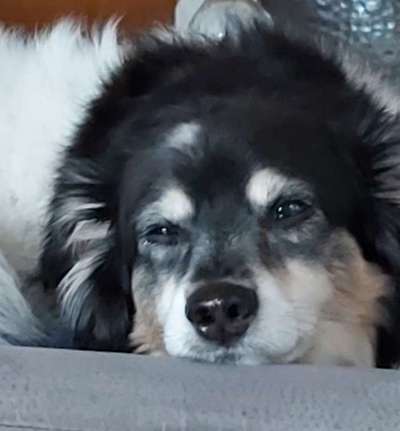 Fotochallange Nr. 57     PORTRÄT.   Beendet!!!!!!!!-Beitrag-Bild