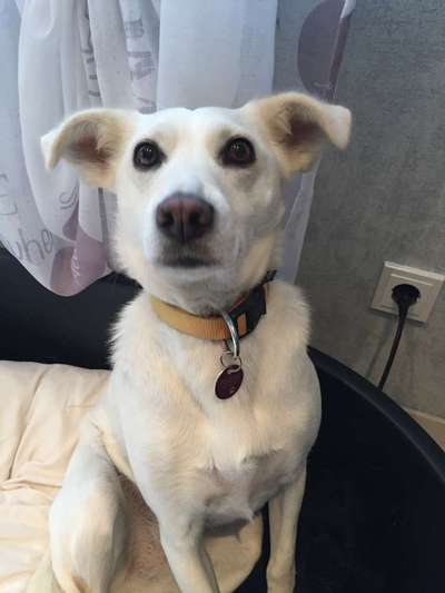 Fotochallange Nr. 57     PORTRÄT.   Beendet!!!!!!!!-Beitrag-Bild