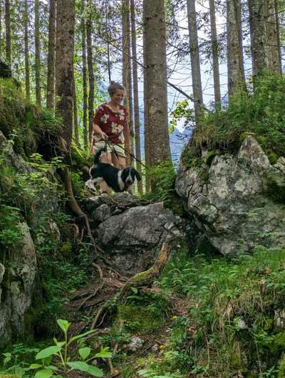 57. Handy Foto Challenge - klettern-Beitrag-Bild