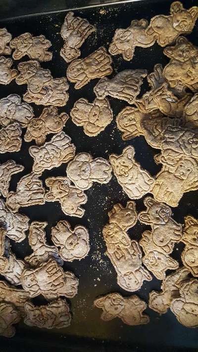 Heute gibt es.....der "ich mach die Leckerlis-Selber-Thread"-Beitrag-Bild