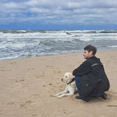 Hundetreffen-Spaziergang durch den Volkspark (Wilmersdorf)