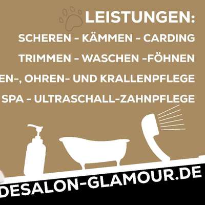 Giftköder-Hundesalon/Hundefriseur-Bild