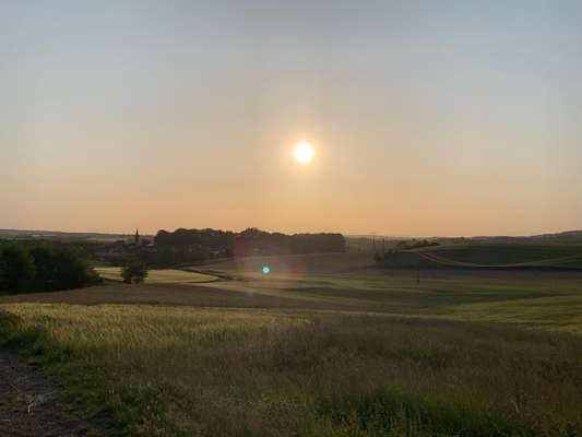 Hundeauslaufgebiet-Felder und Aussichtsbank-Bild