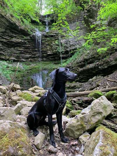 Dogorama-Monats-Challenge-Mai "Wasser"-Beitrag-Bild