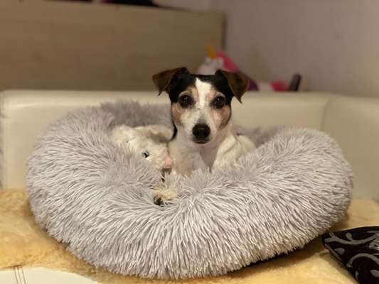 Erfahrung mit Wolkenbett-Beitrag-Bild