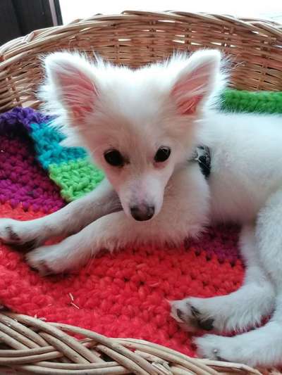 Erstes Bild-Beitrag-Bild