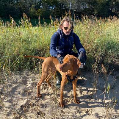 Hundetreffen-Welpen-/Junghundetreffen in Leichlingen.