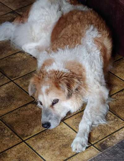 Handy-Foto Challange Nr. 10-Beitrag-Bild