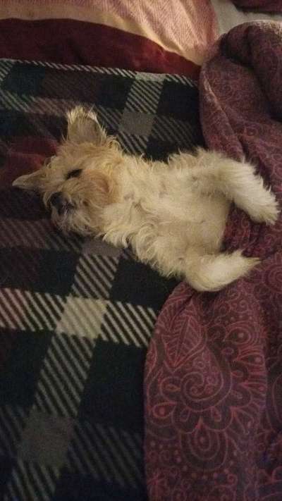 Gemeinsames Kuscheln im Bett!-Beitrag-Bild