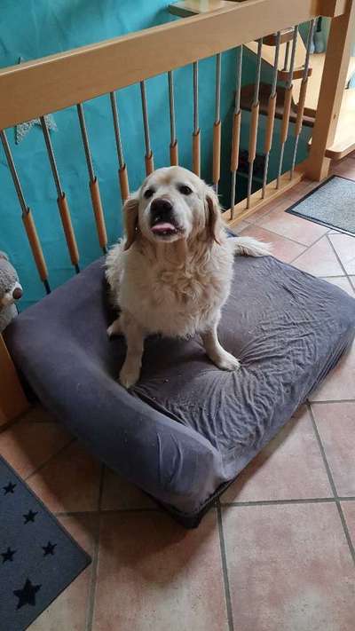 Handyfoto challenge Nr. 13: Waschlappen raus!-Beitrag-Bild