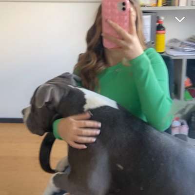 Hundetreffen-Gassi Und spiel Runde-Profilbild