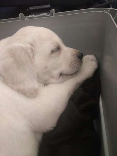 Die unbequemsten und lustigsten Schlafpositionen-Beitrag-Bild