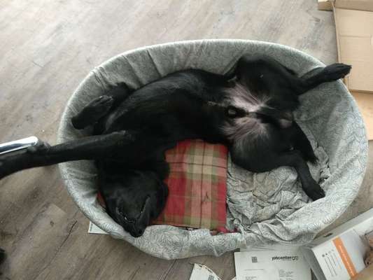 Die unbequemsten und lustigsten Schlafpositionen-Beitrag-Bild