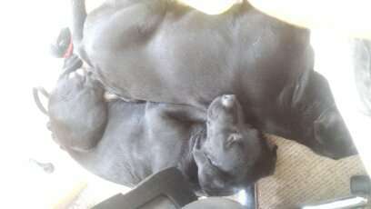 müde der kleine-Beitrag-Bild