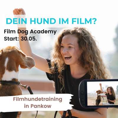 Giftköder-Filmhundetraining in Pankow-Bild