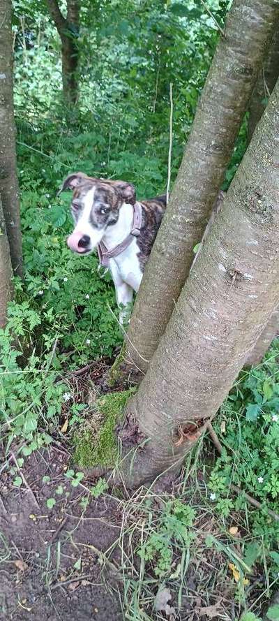 Was hat euch heute gefreut?-Beitrag-Bild