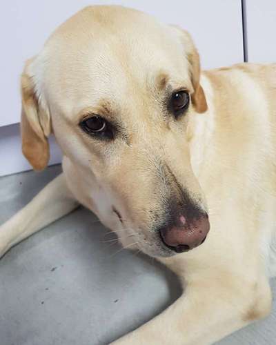 Fotochallange Nr. 57     PORTRÄT.   Beendet!!!!!!!!-Beitrag-Bild