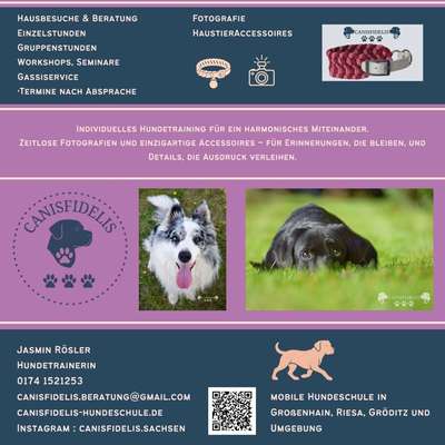 Hundetreffen-Hundeschule-Bild