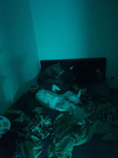 Die unbequemsten und lustigsten Schlafpositionen-Beitrag-Bild