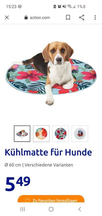 Kühlmatte-Beitrag-Bild