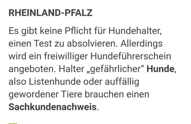 Hundeführerschein-Beitrag-Bild