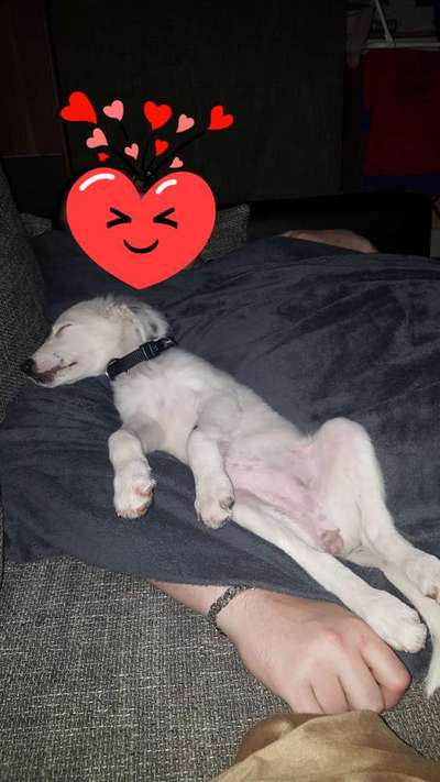 Sie werden so schnell erwachsen ...-Beitrag-Bild