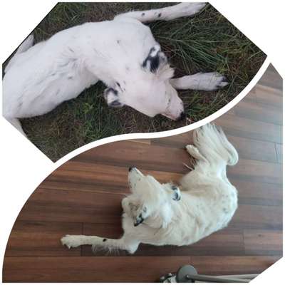 Doppelgänger gesucht !-Beitrag-Bild