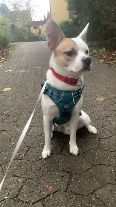 Doppelgänger gesucht !-Beitrag-Bild