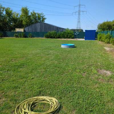 %{de_profession_title}-Hundeplatz-Bild